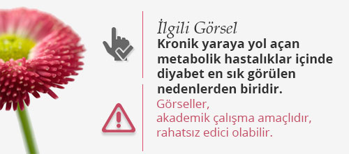 Kronik yaraya yol açan metabolik hastalıklar içinde diyabet en sık görülen nedenlerden biridir. 